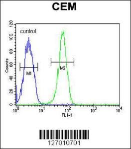 Anti-KIF24 Rabbit Polyclonal Antibody (PE (Phycoerythrin))