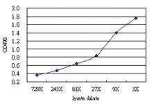 Anti-FASLG Antibody Pair