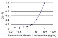 Anti-PAEP Mouse Monoclonal Antibody [clone: 6G2]