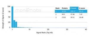 Analysis of protein array containing more than 19000 full-length human proteins using Anti-Myogenin Antibody [PCRP-MYOG-1C5]