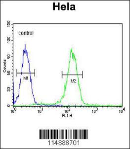 Anti-CCNH Rabbit Polyclonal Antibody (HRP (Horseradish Peroxidase))