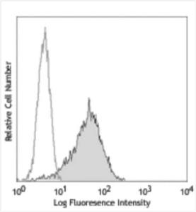 Anti-TNFRSF13B Rat Monoclonal Antibody [clone: 9F167]