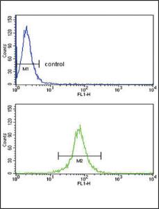 Anti-KIR2DL4 Rabbit Polyclonal Antibody (HRP (Horseradish Peroxidase))