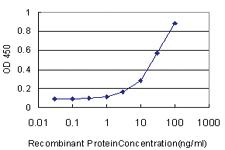 Anti-PRDX1 Mouse Monoclonal Antibody [clone: 4B11-D10]