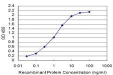 Anti-SIX4 Mouse Monoclonal Antibody [clone: 3B8]