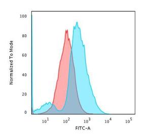 Flow cytometric analysis of methanol fixed HEK293 cells using Anti-CD137 Antibody [4-1BB/3201] followed by Goat Anti-Mouse IgG (CF&#174; 488) (Blue) Isotype Control (Red)