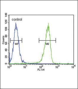 Anti-KIR2DS2 Rabbit Polyclonal Antibody (AP (Alkaline Phosphatase))