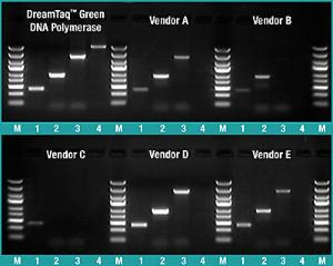 DreamTaq™ Green PCR Master Mix (2X)