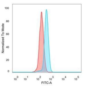 Anti-ZC3H7A antibody