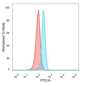 Flow cytometric analysis of PFA-fixed HeLa cells using Anti-NeuroD2 Antibody [PCRP-NEUROD2-1G1] followed by Goat Anti-Mouse IgG (CFand#174; 488) (Blue). Isotype Control (Red)