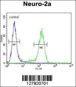 Anti-VWA3B Rabbit Polyclonal Antibody (PE (Phycoerythrin))