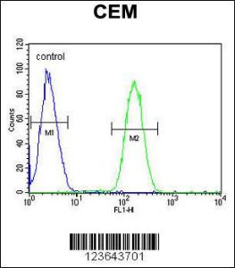 Anti-WAS Rabbit Polyclonal Antibody