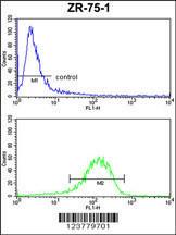 Anti-ENTPD2 Rabbit Polyclonal Antibody (AP (Alkaline Phosphatase))