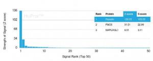 Analysis of protein array containing more than 19000 full-length human proteins using Anti-Resistin Antibody [RETN/4326]