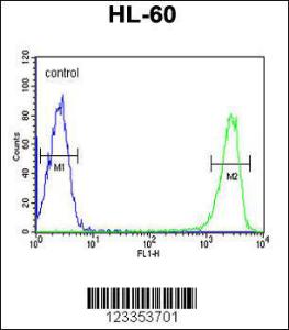 Anti-KIR2DS3 Rabbit Polyclonal Antibody