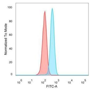 Flow cytometric analysis of PFA-fixed HeLa cells using Anti-TFIIB Antibody [PCRP-GTF2B-1D1] followed by Goat Anti-Mouse IgG (CFand#174; 488) (Blue). Isotype Control (Red)