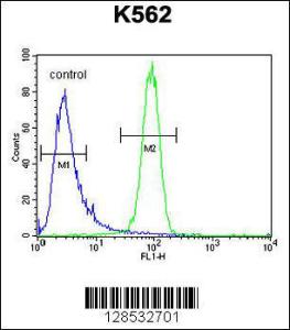 Anti-MCHR1 Rabbit Polyclonal Antibody (HRP (Horseradish Peroxidase))