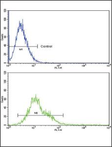 Anti-RAC2 Rabbit Polyclonal Antibody (AP (Alkaline Phosphatase))