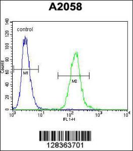 Anti-DCAF4L2 Rabbit Polyclonal Antibody