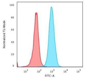 Flow cytometric analysis of HeLa cells using Anti-beta 2 Microglobulin Antibody [B2M/1118] followed by Goat Anti-Mouse IgG (CF and #174; 488) (Blue). Unstained cells (Red)