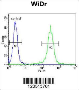 Anti-ATP5B Rabbit Polyclonal Antibody (Biotin)