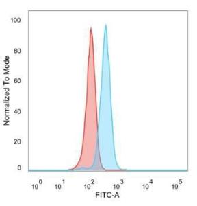 Antibody anti-HDAC1 pcrp-HDAC1-1B7 100 µg