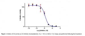 Carbonic Anhydrase (CA) Inhibitor Screening Kit (Colorimetric)