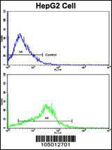 Anti-APP Rabbit Polyclonal Antibody (HRP (Horseradish Peroxidase))