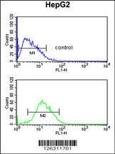 Anti-PARP16 Rabbit Polyclonal Antibody (APC (Allophycocyanin))