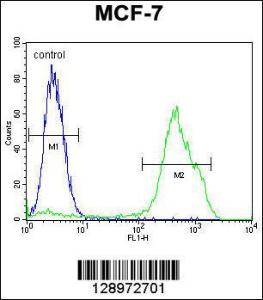 Anti-RNF19B Rabbit Polyclonal Antibody (FITC (Fluorescein Isothiocyanate))