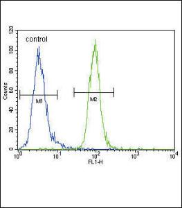 Anti-ENPP2 Rabbit Polyclonal Antibody (Biotin)