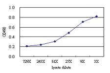 Anti-KIF26A Antibody Pair