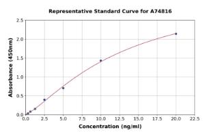 Representative standard curve for Human HLA-B27 ELISA kit (A74816)