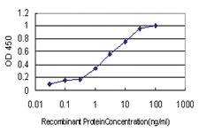 Anti-HTLV1 Mouse Monoclonal Antibody [clone: 4A10]