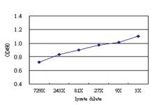 Anti-RFXANK Antibody Pair