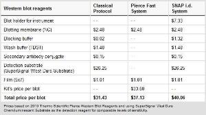 Fast western blot kit, SuperSignal™ West Dura, Pierce™