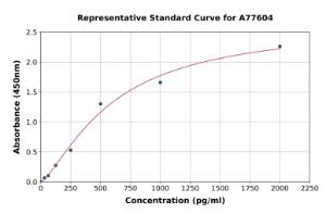 Representative standard curve for Horse BDNF ELISA kit (A77604)