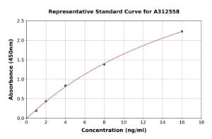 Representative standard curve for Human RCN1/RCN ELISA kit (A312558)