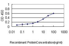 Anti-HSPE1 Mouse Monoclonal Antibody [clone: 4C11-B11]