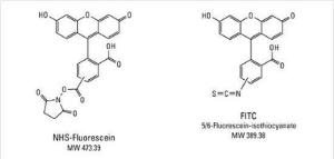 5(6)-Carboxyfluorescein N-hydroxysuccinimide ester ≥90% (par HPLC) colorant fluorescent, Pierce™