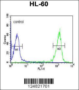 Anti-PATL1 Rabbit Polyclonal Antibody (FITC (Fluorescein Isothiocyanate))