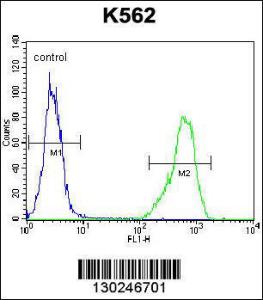 Anti-IL1RL2 Rabbit Polyclonal Antibody (HRP (Horseradish Peroxidase))