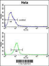 Anti-EPHB3 Rabbit Polyclonal Antibody