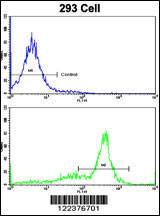 Anti-ATP5O Rabbit Polyclonal Antibody (FITC (Fluorescein))