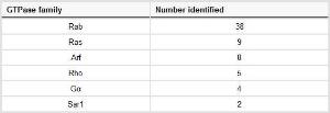 Desthiobiotin probes, ActivX™