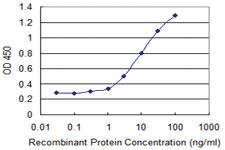 Anti-JAM2 Mouse Monoclonal Antibody [clone: 1C2]