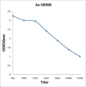 Anti-LUM Rabbit Polyclonal Antibody