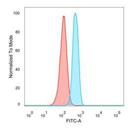 Flow cytometric analysis of PFA fixed HeLa cells using Anti-OVOL2 Antibody [PCRP-OVOL2-2A1] followed by Goat Anti-Mouse IgG (CF&#174; 488) (Blue). Unstained cells (red).