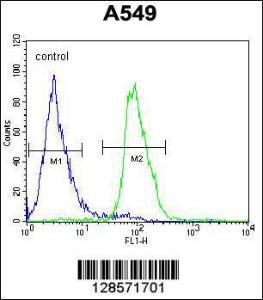 Anti-DCAF10 Rabbit Polyclonal Antibody