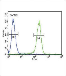 Anti-CCR7 Rabbit Polyclonal Antibody (FITC (Fluorescein Isothiocyanate))